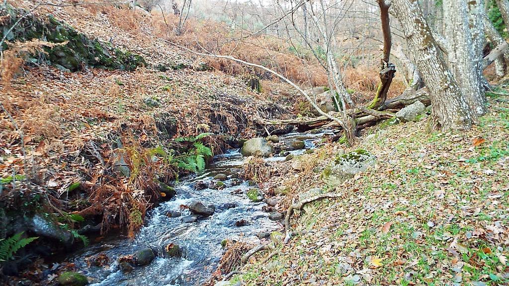 Hotel Rural El Camino Канделеда Екстер'єр фото